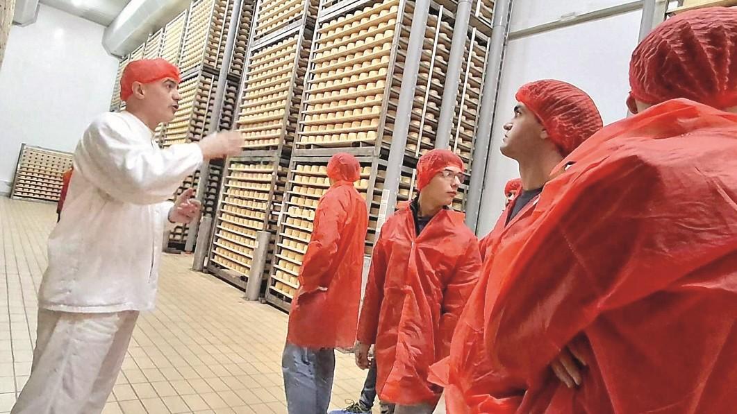 Dal latte alla forma di Pecorino, gli studenti alla scoperta di un’eccellenza – VIDEO