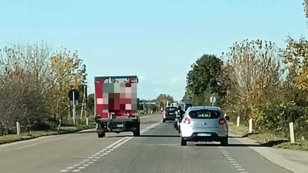 Sulla Statale 16 tra sorpassi vietati, manovre azzardate e alta velocità