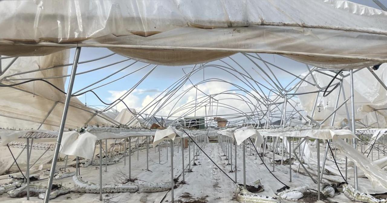 
	I danni nell'azienda di Terralba

