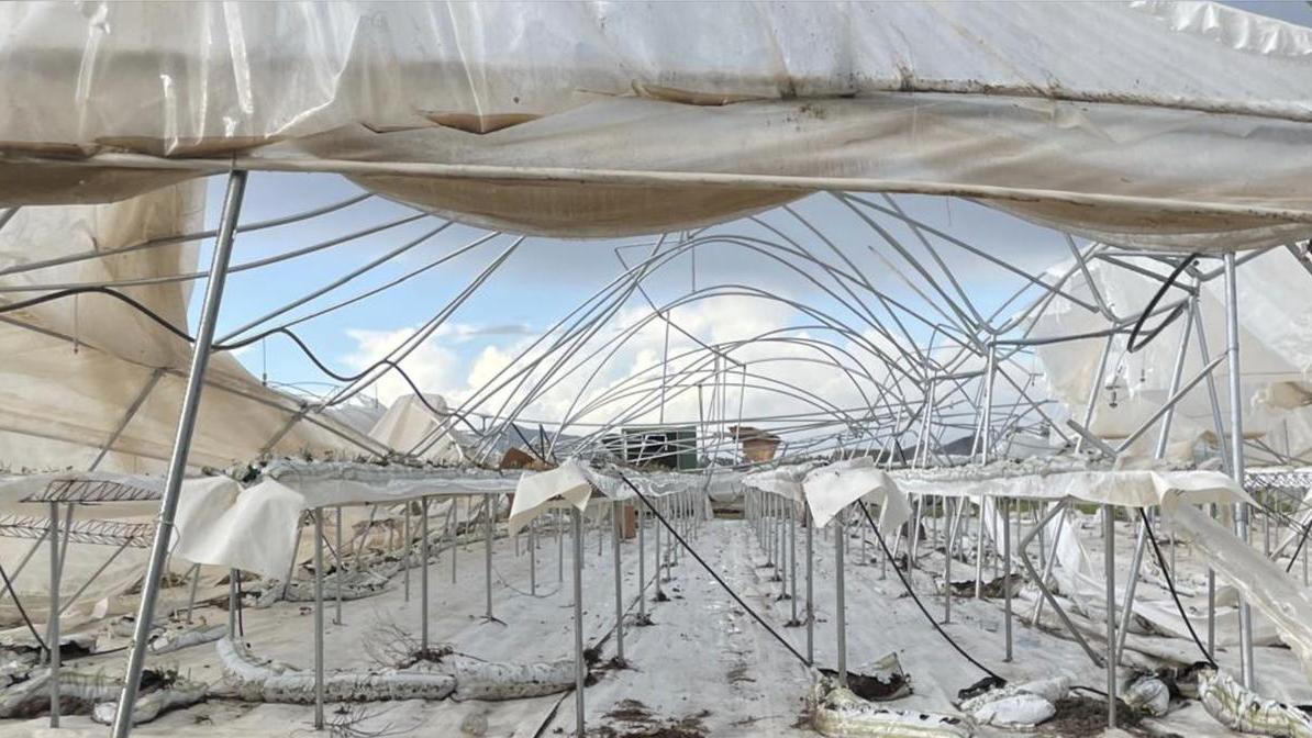 I danni nell'azienda di Terralba