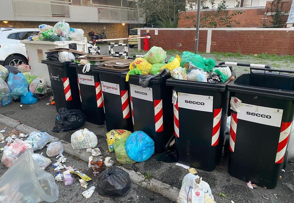 L'isola ecologica