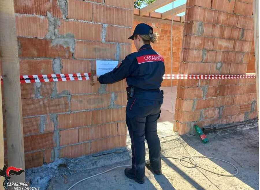 Sul posto i carabinieri