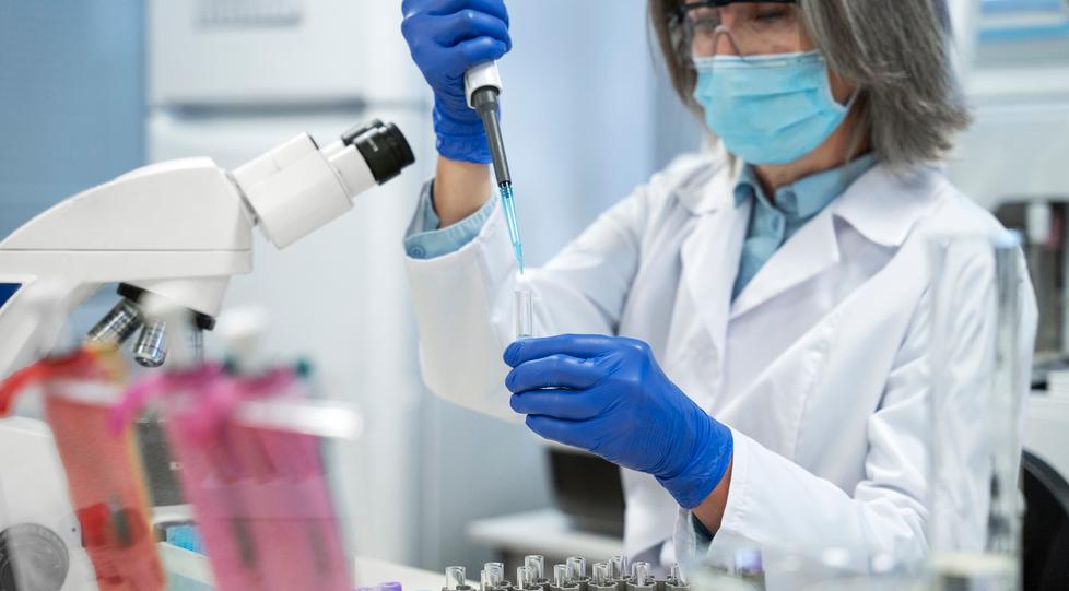 Inquinamento a Livorno, una zona ai raggi X: previsti anche 700 prelievi salivari – Come saranno individuato i cittadini