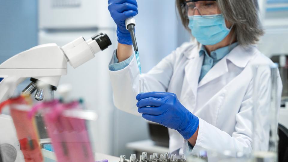 Inquinamento a Livorno, una zona ai raggi X: previsti anche 700 prelievi salivari – Come saranno individuato i cittadini