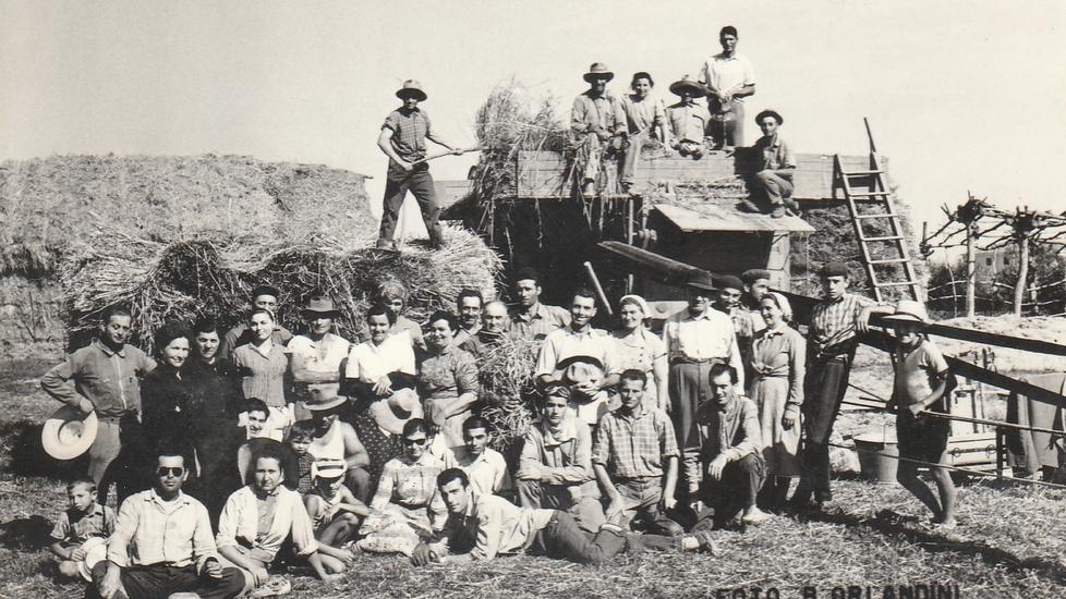 La biografia di Medelana ci racconta come eravamo