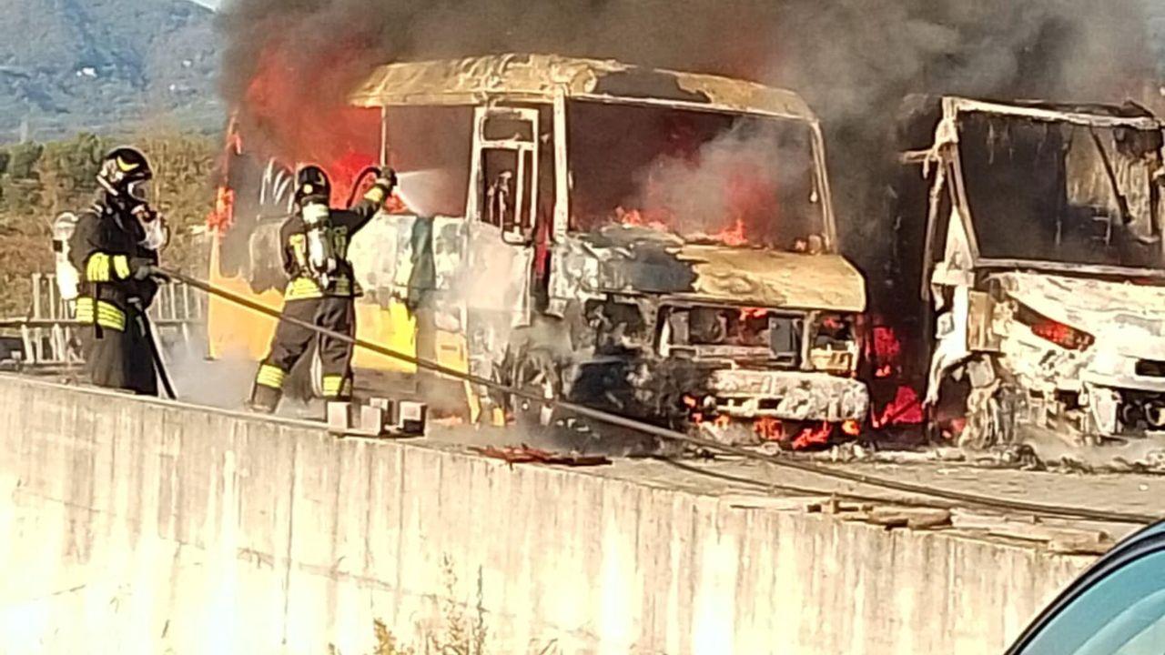 
	Gli scuolabus distrutti (foto Nucci)

