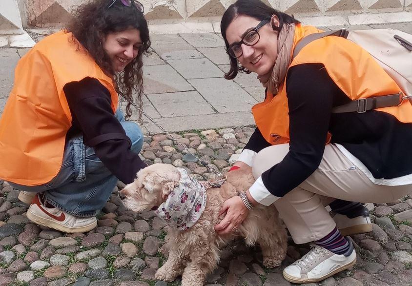 Arrivano anche a Ferrara i dog sitter per chi vuole godersi una mostra