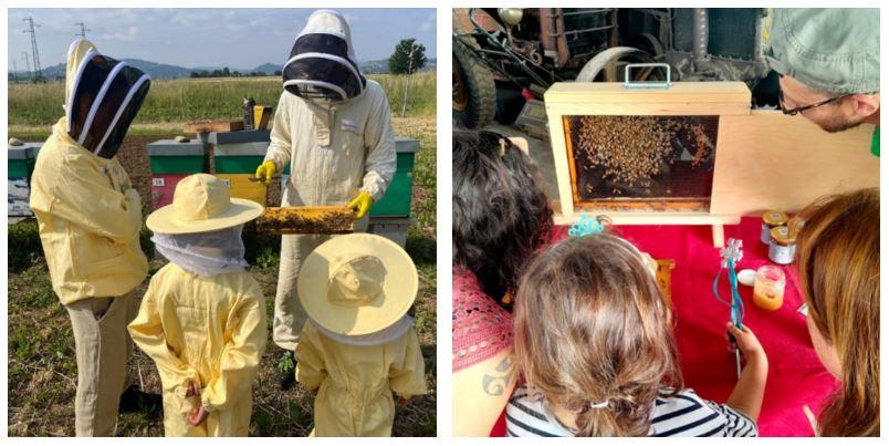 Mielerie Aperte, torna l’evento più dolce dell’anno: tutte le aziende da visitare in provincia di Reggio Emilia