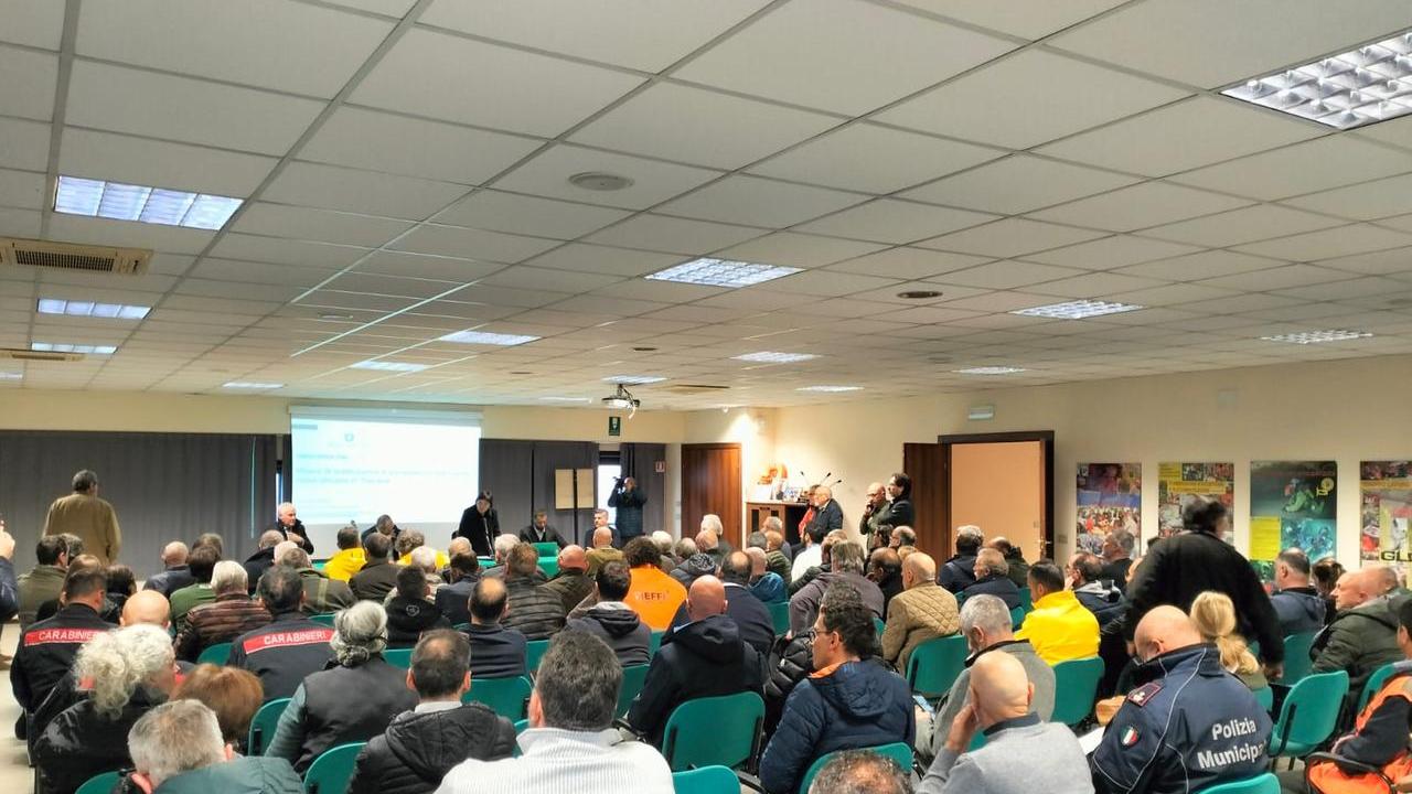 Sos peste suina in Garfagnana, non ci sono vaccini