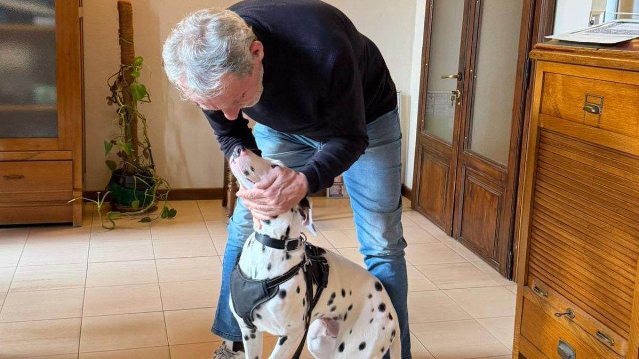 
	Il Dalmata


