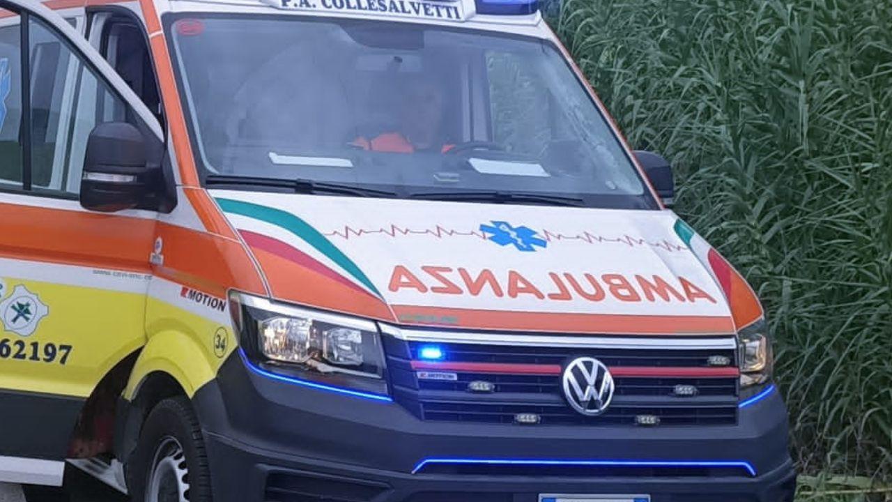 Assalita da tre cani mentre passeggia: è gravissima a Cisanello