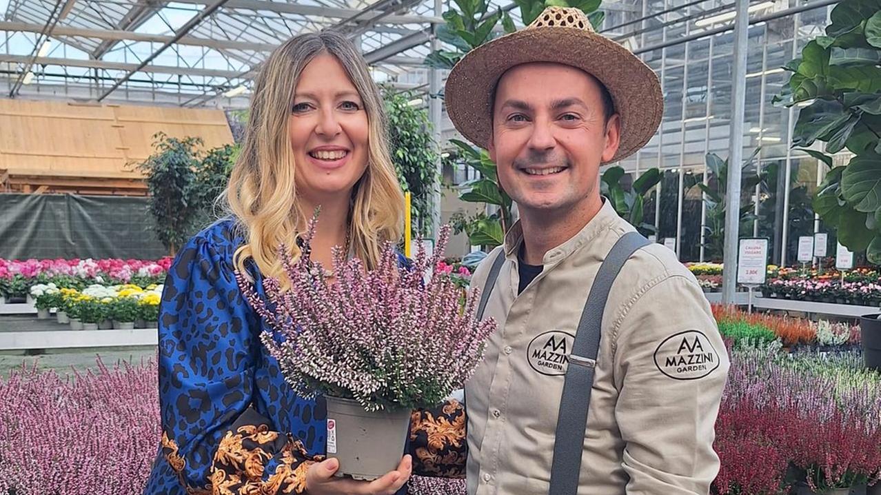 Erica e Calluna, regine di colore in un mondo ricco di sfumature