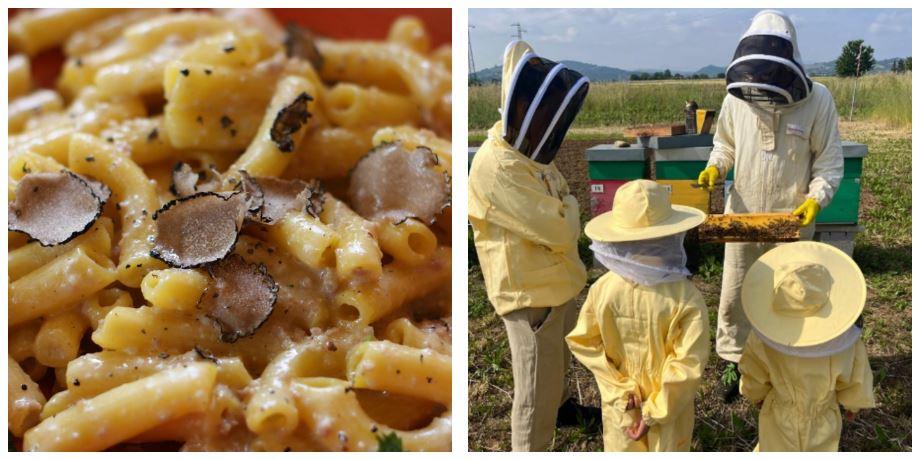 Festa del tartufo, mielerie aperte e mercatini: ecco cosa fare nel week end a Reggio Emilia e provincia
