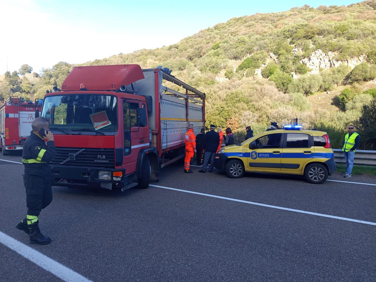 Muore sulla strada 128 bis vicino a Pattada – Ecco cosa è successo