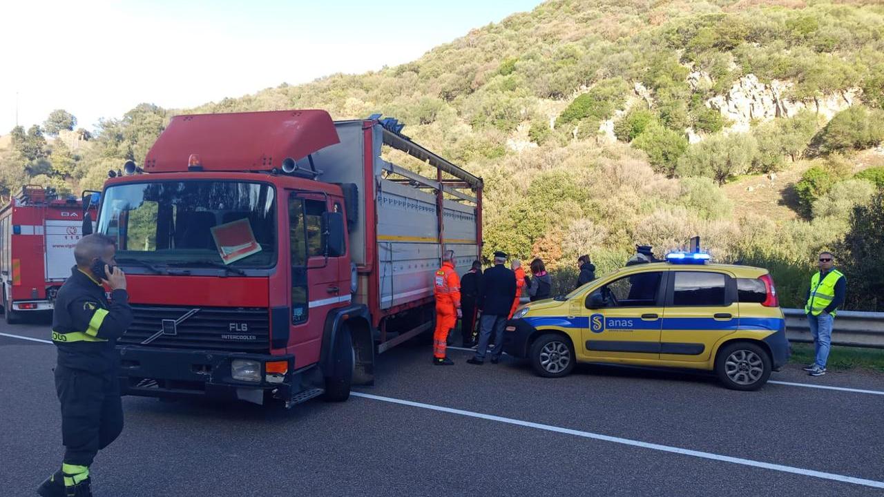 Muore sulla strada 128 bis vicino a Pattada – Ecco cosa è successo