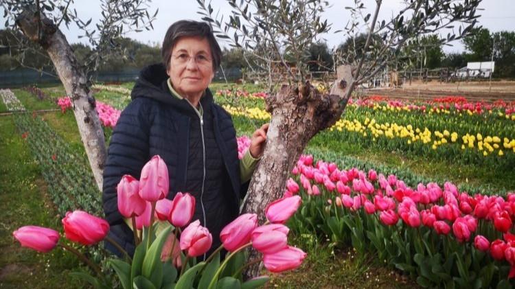 L’amore di Luena per i tulipani e la forza di una mamma: Il Giardino di Lù rinasce dopo la tempesta
