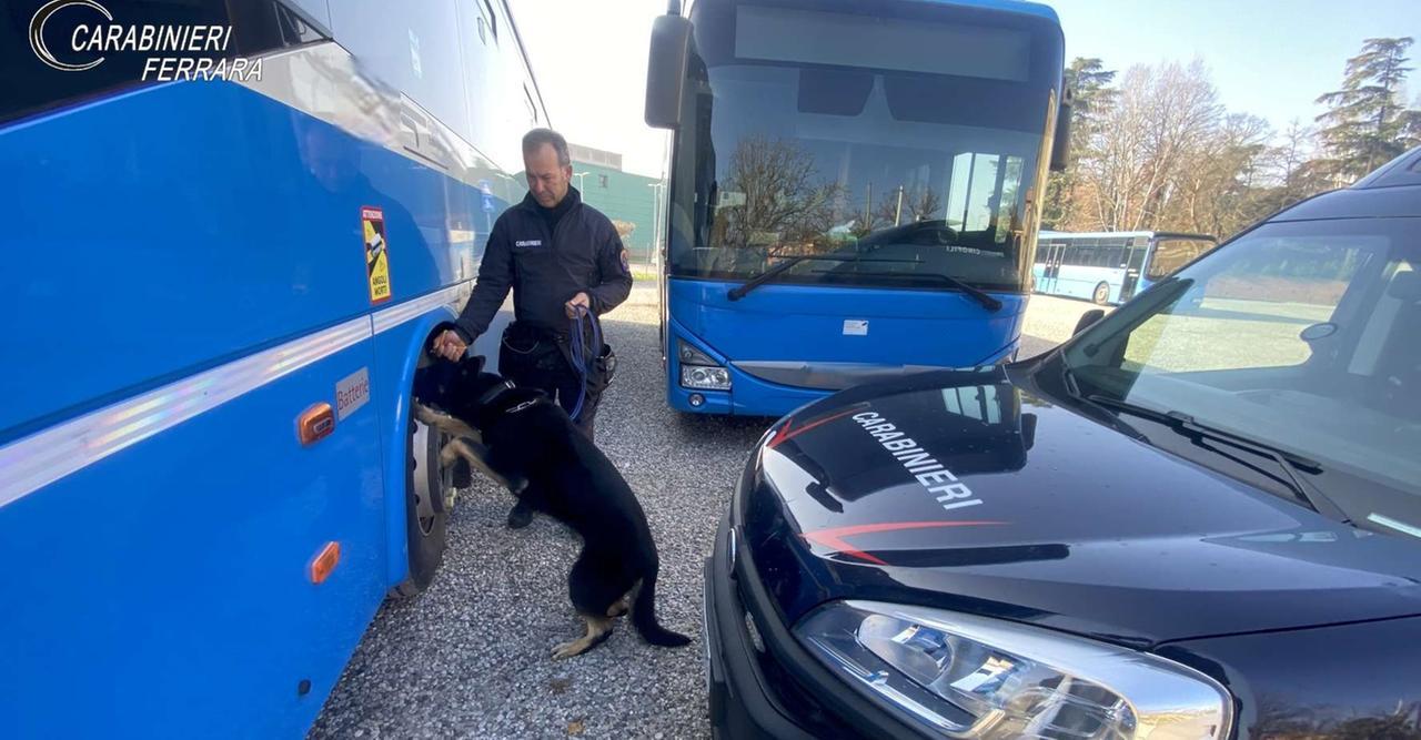 Carabinieri a scuola a Copparo, trovato uno spinello nel banco
