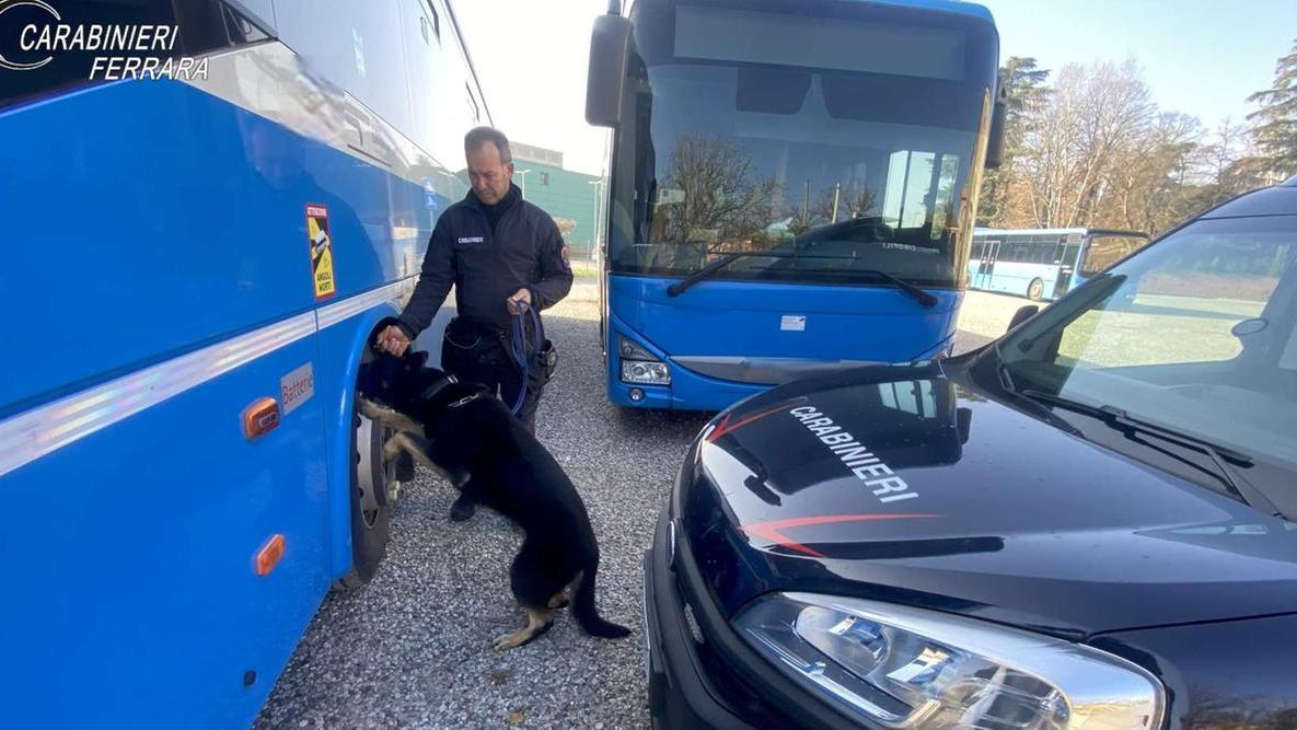 Carabinieri a scuola a Copparo, trovato uno spinello nel banco