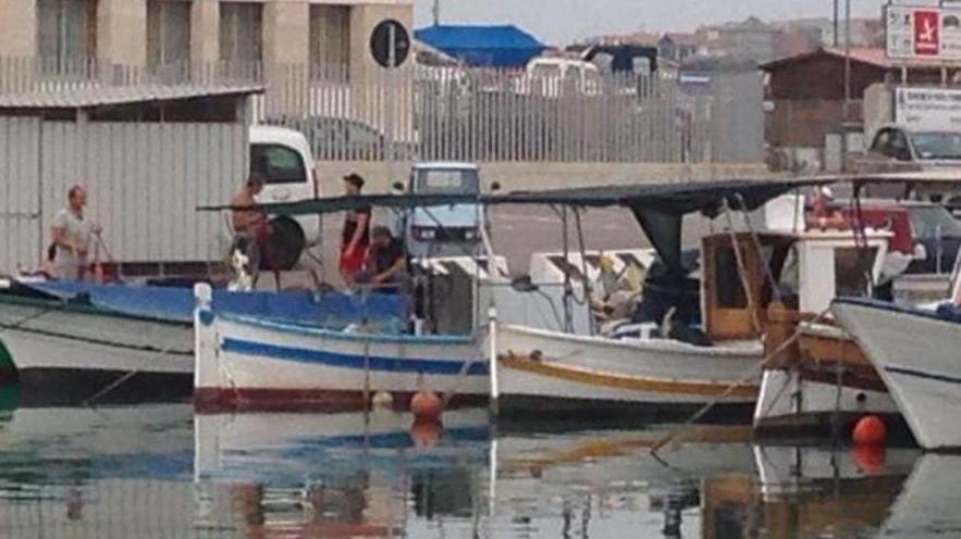 Reti e delfini, i pescatori battono cassa
