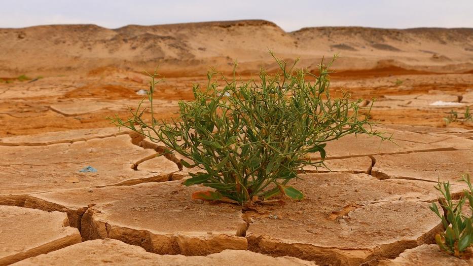 A Grosseto consumati oltre 37 ettari di suolo in un anno