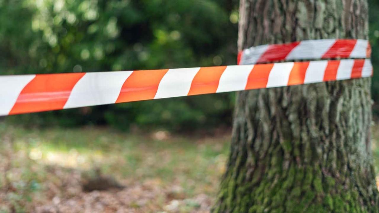 
	L'incidente nel giardino dell'asilo (Foto di repertorio)

