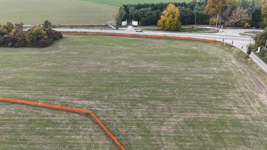 Bretella, l’assessore regionale Priolo frena: «Deforestazione del tutto avventata»