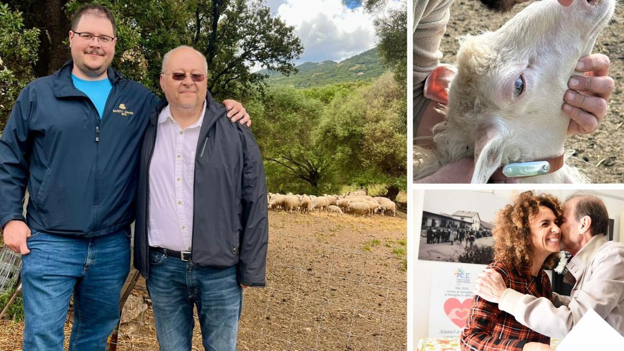 Dagli Usa adottano una pecora e vengono in Sardegna per conoscerla: «Ora compriamo casa qui»