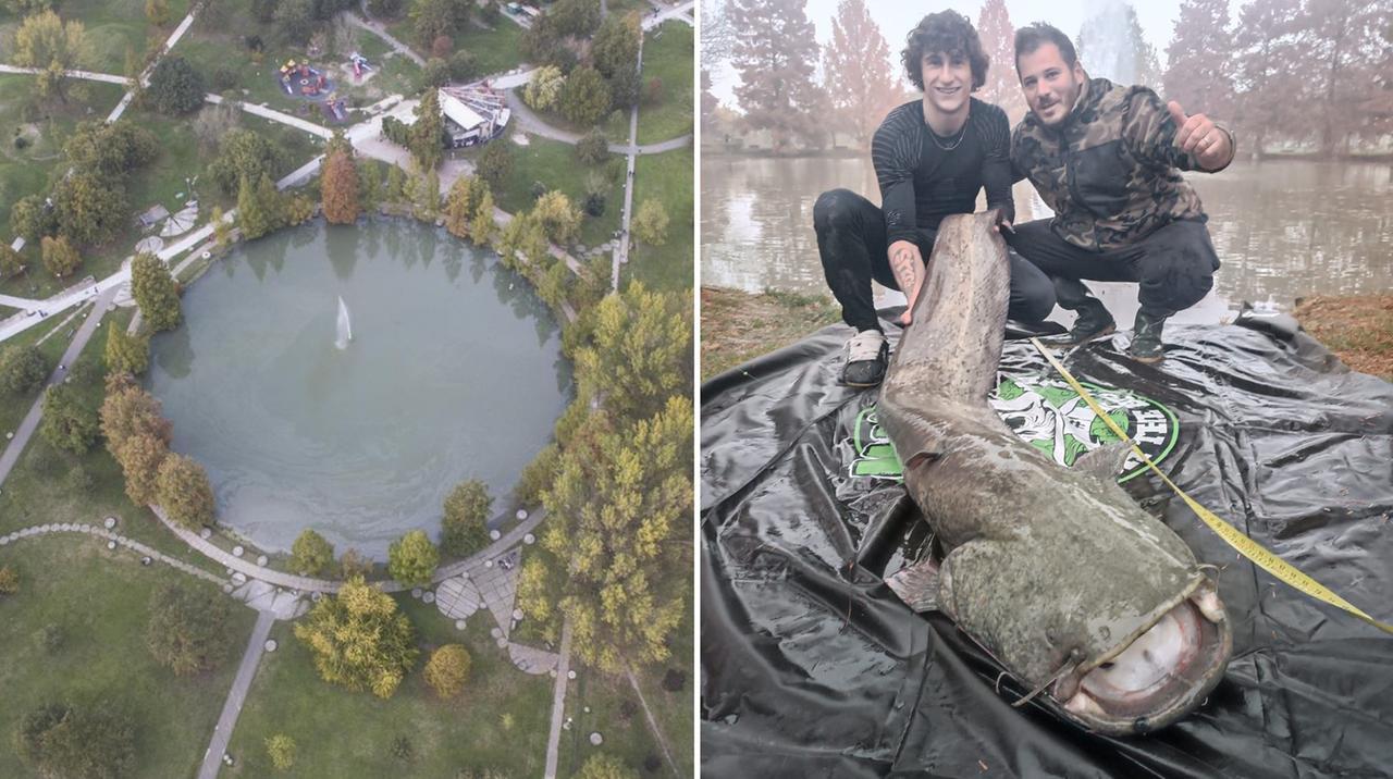 
	Il siluro pescato nel lago rotondo

