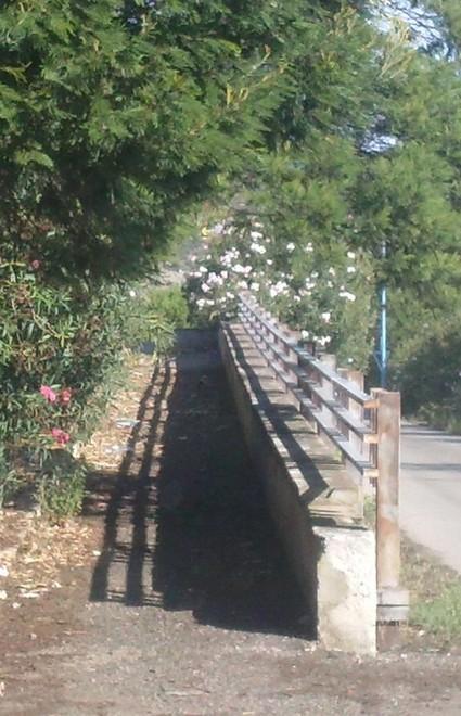 Ponte viabile, è da ripulire la rampa per i disabili