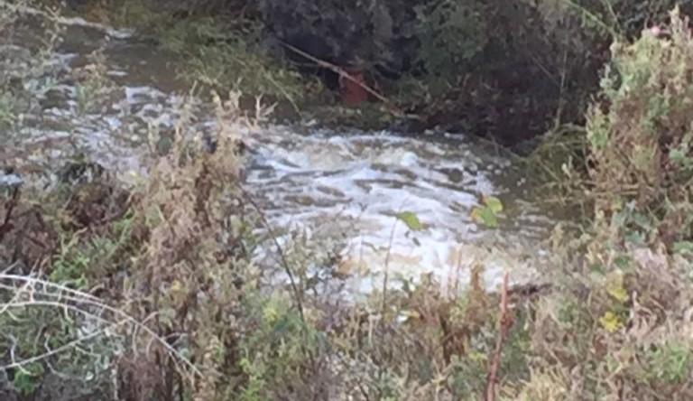 
	Il rio Thamis a Uras

