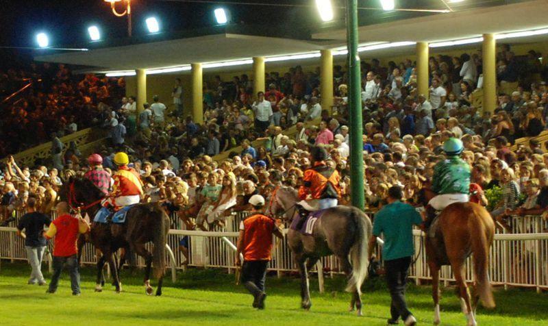 Livorno, un’altra beffa per l’ippodromo: le corse invernali a San Rossore<br type="_moz" />
