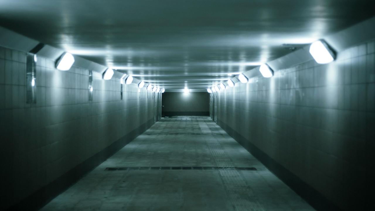 L'episodio durante Italia-Norvegia 