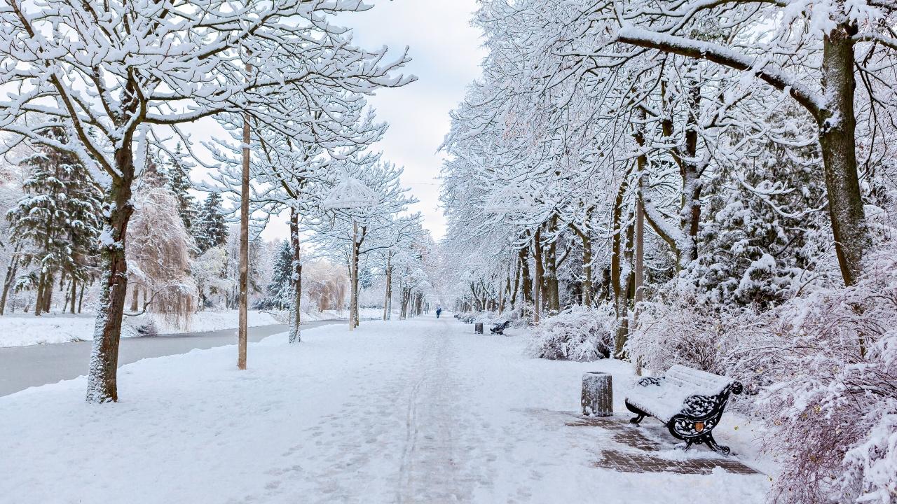 
	Arriva la neve in Toscana


