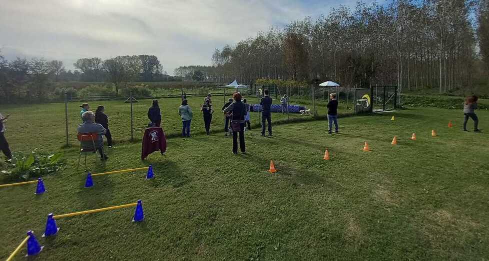 Aspiranti volontari, serve un corso anche per il canile