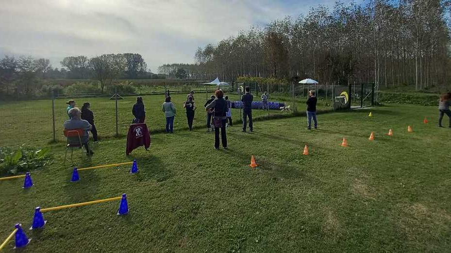 Aspiranti volontari, serve un corso anche per il canile