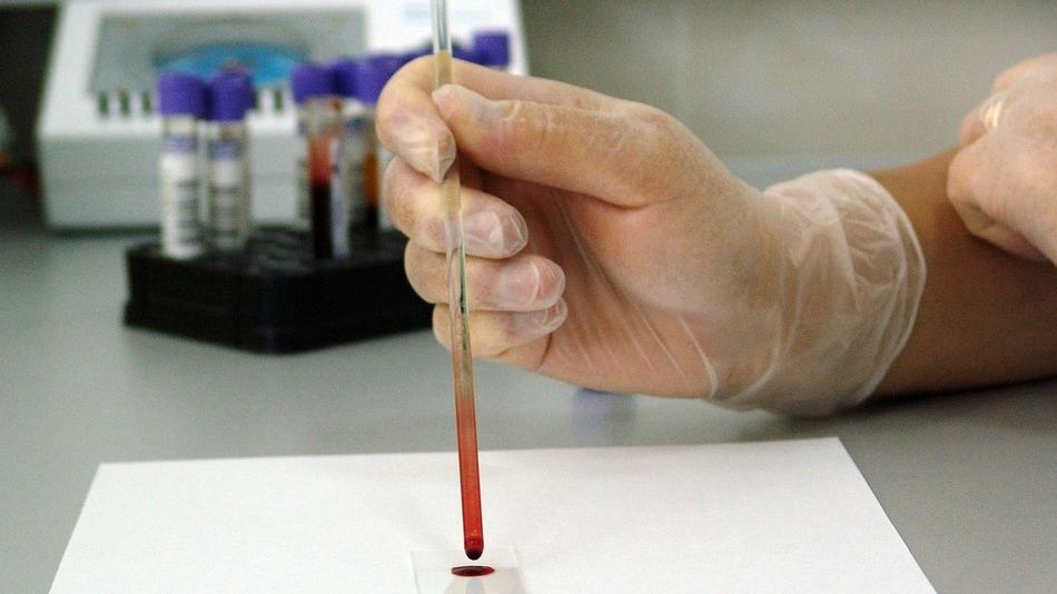 Lagosanto, l'ex paziente Pma scrive ai medici: «Ci siamo fidati anche nel dolore»<br type="_moz" />