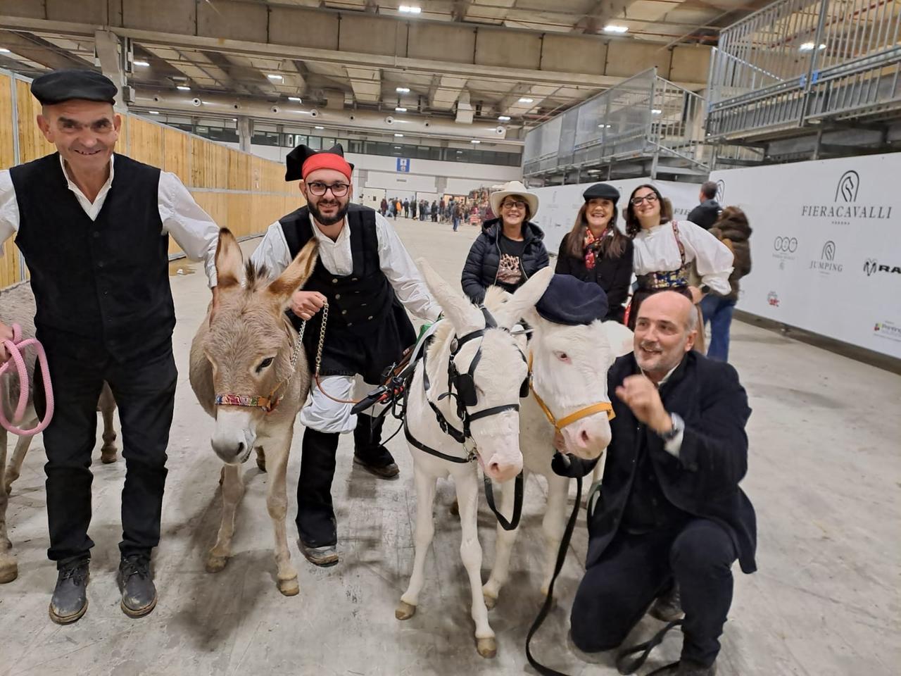 Gli asinelli bianchi dell’Asinara: Tilicherta e Fisietto, incantano Verona