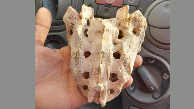 Ritrovate ossa umane sul monte Tuttavista a Galtellì