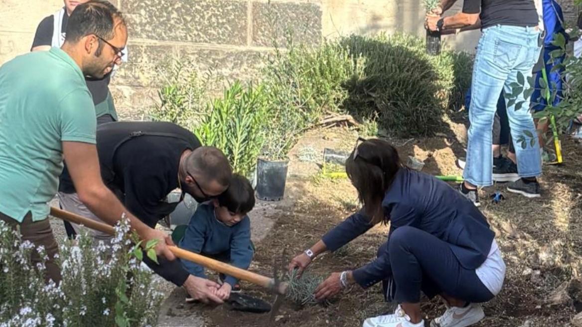 Sassari, a San Giuseppe la Festa degli Alberi