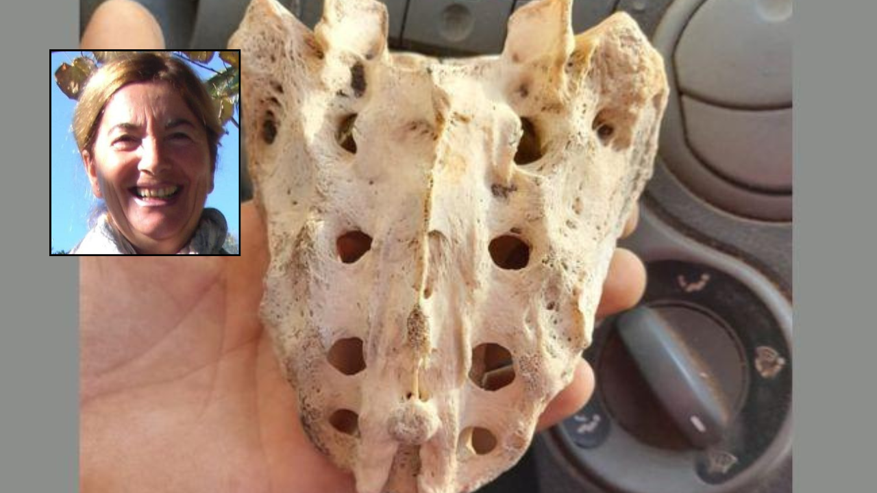 Ossa ritrovate a Galtellì, perché è emersa l’ipotesi Irene Cristinzio