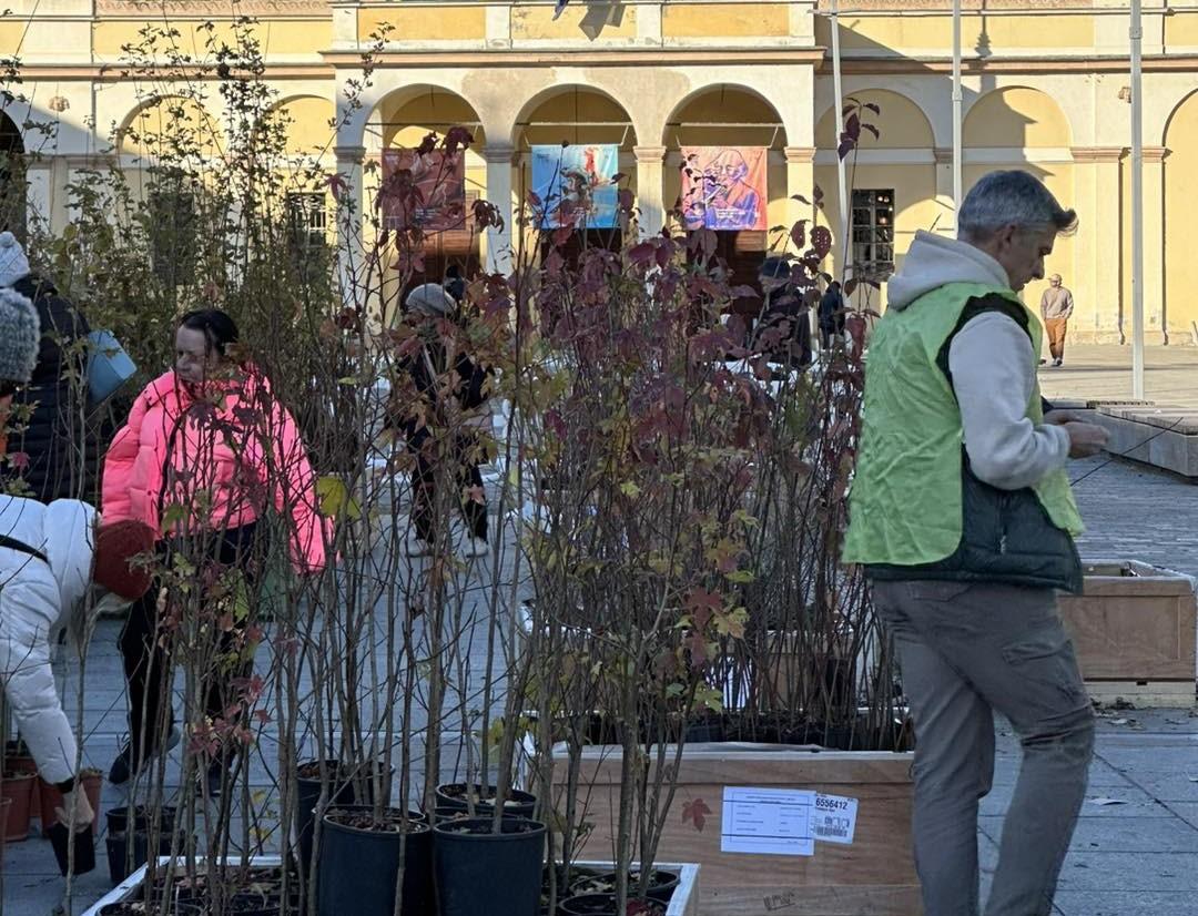 Giornata dell’albero, 5mila alberi gratis ai cittadini: ecco come funziona