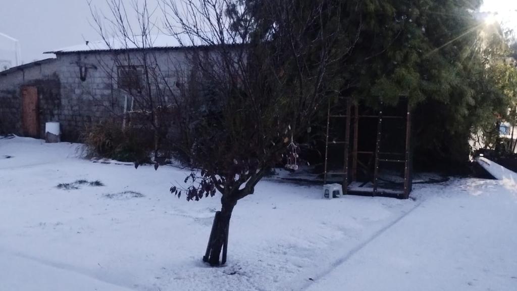 Maltempo, forte grandinata a Comacchio e nel Basso ferrarese