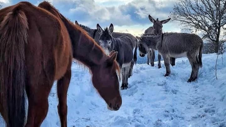 Bruncu Spina. Foto di Cristian Mele