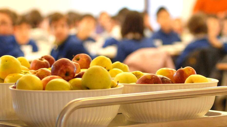 (foto di repertorio)