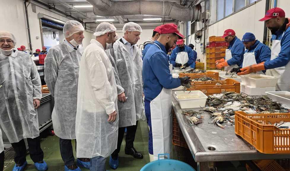 Goro, molluschi e granchio blu: «C’è un grande lavoro da fare»