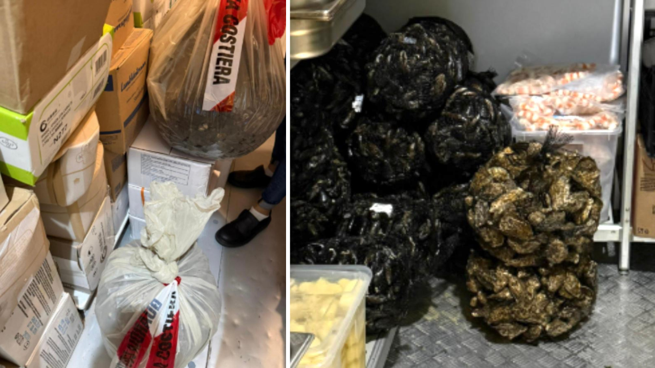 Cozze e ostriche non tracciate e scarsa igiene: multato un ristorante