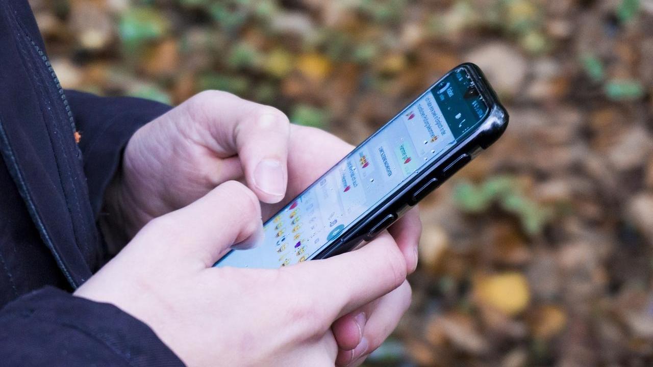 Ferrara, si spaccia per una prof e mette sul web un annuncio erotico