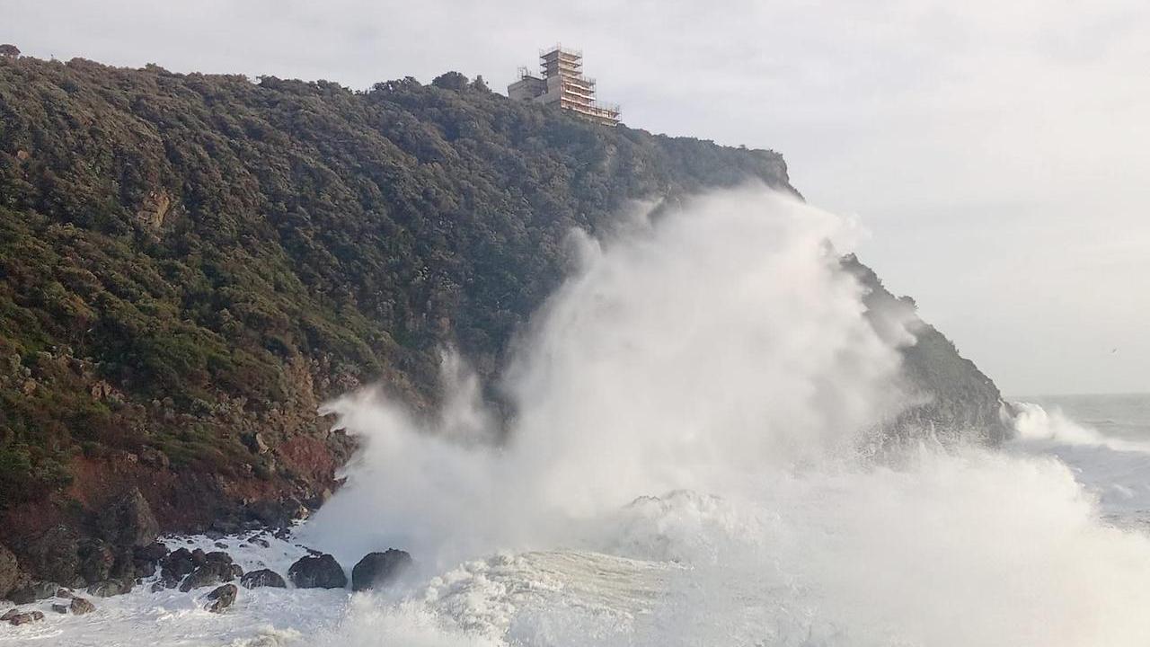 Livorno, cala del leone-show. Grazie a Luca Bartolozzi