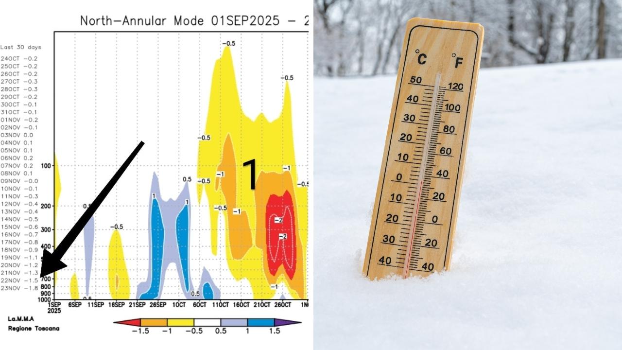
	A sinistra il grafico Nam

