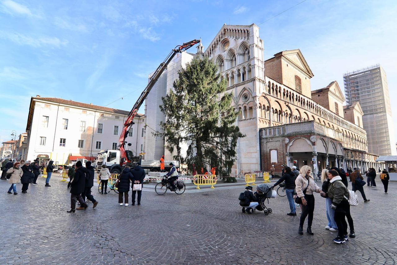 Ferrara, l’albero di Natale è già in piazza: quando si accenderà